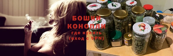 гашик Арсеньев