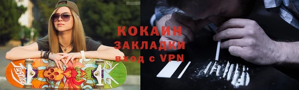 гашик Арсеньев