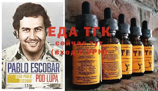 гашик Арсеньев