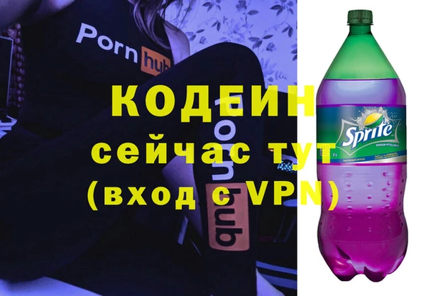 гашик Арсеньев