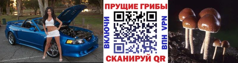 сколько стоит  Изобильный  дарк нет состав  Галлюциногенные грибы мицелий  ссылка на мегу tor 