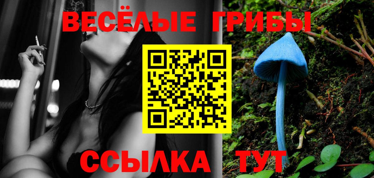 Псилоцибиновые грибы прущие грибы Изобильный